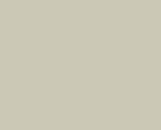 Soft Grey image 1